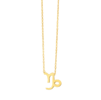 a gold zodiac necklace with the zodiac sign on it