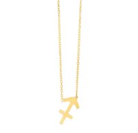 a gold necklace with a zodiac sign on it