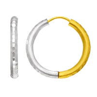 a pair of gold and silver hoop earrings