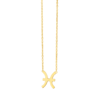 a gold necklace with the zodiac sign pisces on it