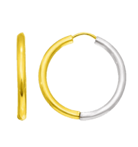 a pair of gold and silver hoop earrings