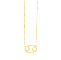 a necklace with a zodiac sign on it