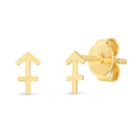 a pair of yellow gold stud earrings with the signs of the zodiac