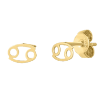 a pair of gold plated zodiac stud earrings